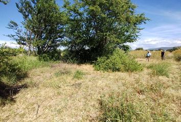 Lote de Terreno en  Oaxaca Oaxaca-zimatlán De Álvarez, Cabecera Municipal Santa Cruz Xoxocotlan, Santa Cruz Xoxocotlán, Oaxaca, México