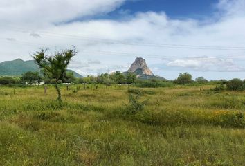 Lote de Terreno en  Benito Juárez, Zona Centro, Bernal, Querétaro, México