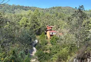 Lote de Terreno en  Campestre Bosques De Niebla, Calle Laguna De Miramar, San Felipe El Horizonte, Chiapas, México