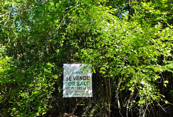 Lote de Terreno en  10 De Abril, Cozumel