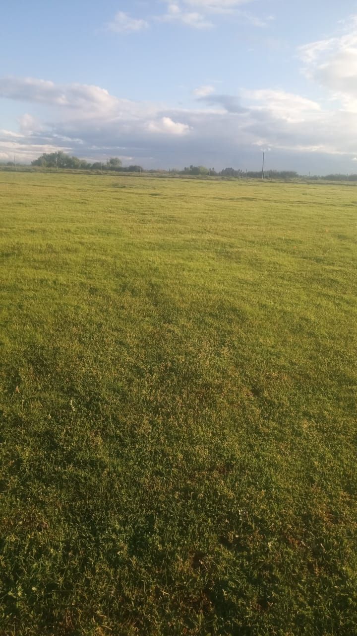 venta Parcela en San Rafael, Talca - icasas.cl