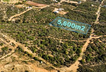 Lote de Terreno en  Entre Vides, Cabernet, Lomas De San Antonio, 22766 Francisco Zarco, Baja California, México