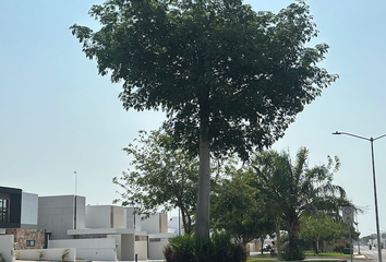 Casa en condominio en  Privada Nadira, X-cuyum, Yucatán, México