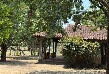 Rancho en  Villa Comaltitlán, Chiapas, México