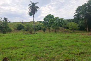 Villa-Quinta en  Pore, Casanare
