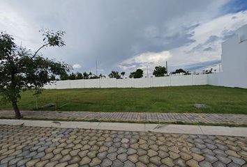Lote de Terreno en  Parque Napa, Puebla, México