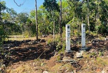 Lote de Terreno en  Bejucos, Tulum, Quintana Roo, México