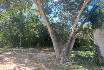 Lote de Terreno en  Alamo Número 503, Cholul, Yucatán, México