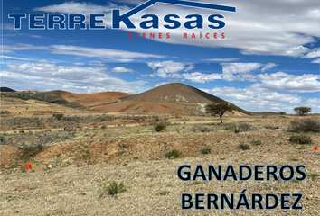 Lote de Terreno en  Avenida Paseo De La Cima, Guadalupe, Zacatecas, 98610, México