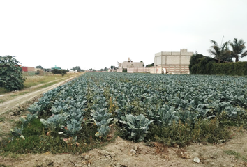 Lote de Terreno en  Fraccionamiento Zerezotla, San Pedro Cholula