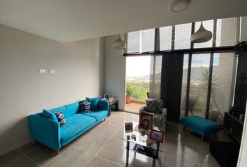 Apartment for rent in Urbanización Hacienda Calambeo, Ibagué