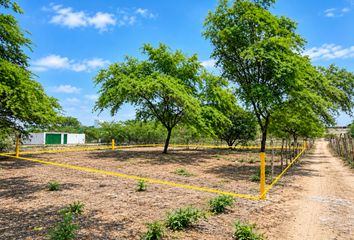 Terreno en  Ejidos Norte 2023, Piura, Perú