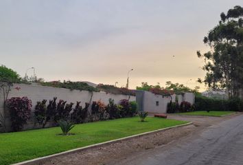 Terreno en  Los Olivos, San Vicente De Cañete, Cañete, Perú