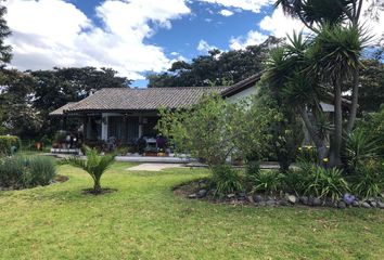 Terreno Comercial en  Avenida Interoceánica, Puembo, Ecuador