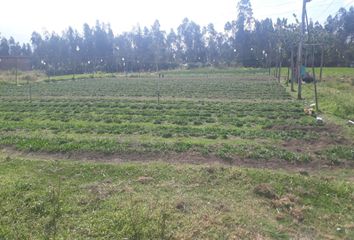 Terreno Comercial en  Tababela, Quito