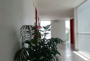 Departamento en  Camino Real A Cholula, Puebla De Zaragoza, Puebla, México