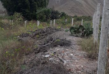 Terreno en  Finca Olivos, Santa Cruz De Flores, Perú