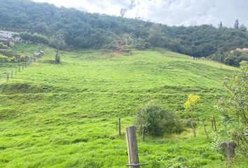 Terreno Comercial en  Tarqui, Cuenca