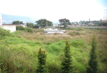 Terreno Comercial en  Aurelio Dávila Cajas, Tumbaco, Quito, Ecuador