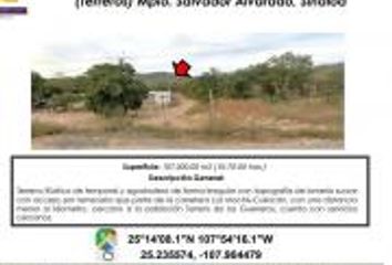 Lote de Terreno en  Salvador Alvarado, Sinaloa, Mex