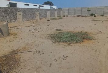 Terreno en  Los Huertos De Cerro Azul, Pe-1s, Cerro Azul, Cañete, Perú