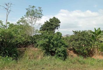 Terreno Comercial en  Sub Centro De Salud San Isidro, Arenillas, Ecuador