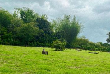 Hacienda-Quinta en  S/n, Chone, Chone, Manabí, Ecuador