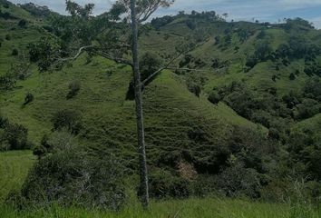 Lote de Terreno en  Yolombó, Antioquia, Colombia
