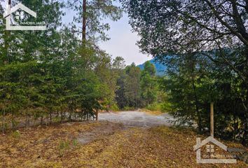 Lote de Terreno en  Carboneras, Mineral Del Chico, Hidalgo, Mex