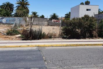 Parcela en  Avenida La Chimba, Ovalle, Limarí, Coquimbo, Chile