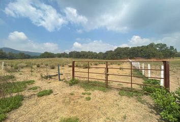 Lote de Terreno en  45225, Zapopan, Jalisco, Mex