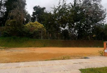 Lote de Terreno en  Rionegro Antioquía