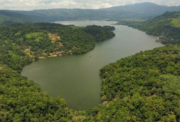 Terreno en  Sauce, San Martín, Per