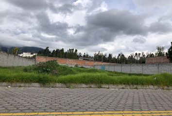 Terreno Comercial en  San Miguel De Ibarra