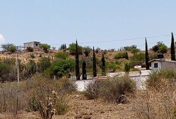 Lote de Terreno en  La Cruz De Piedra, Tecozautla, Hidalgo, México