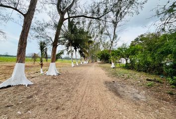 Lote de Terreno en  Laguna El Bayo, Alvarado, Veracruz, México