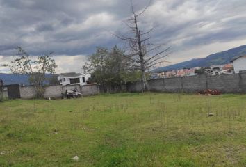 Terreno Comercial en  Los Almendros 43, Sangolquí, Ecuador