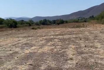 Lote de Terreno en  Carretera Yautepec - Jojutla, La Cima, Bonifacio García, Morelos, México