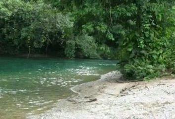 Lote de Terreno en  Anorí, Antioquia