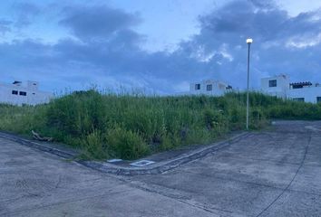 Lote de Terreno en  Fraccionamiento Real Mandinga, Real Mandinga, Veracruz, México