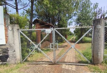 Lote de Terreno en  Santa Ana Chapitiro, Michoacán, México