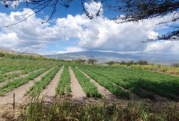 Terreno Comercial en  Xmr9+pw Hacienda Tanda, Ecuador