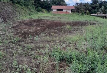 Terreno Comercial en  Pedro Vicente Maldonado