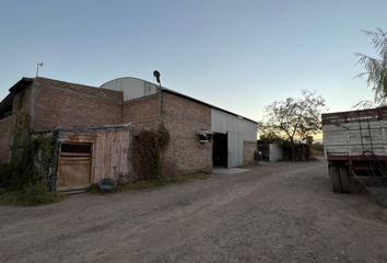 Galpónes/Bodegas en  Ruta 29, Maipú, M5529, Mendoza, Arg