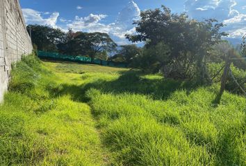 Terreno Comercial en  Calle Guayllabamba, Tumbaco, Quito, Ecu