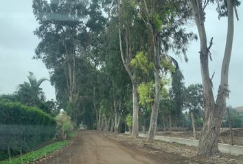 Terreno en  Pachacamac, Lima, Per