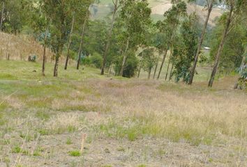 Terreno Comercial en  Guaranda, Guaranda, Ecuador