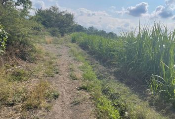 Lote de Terreno en  Yautepec - San Carlos, San Carlos, Los Arcos, Morelos, México