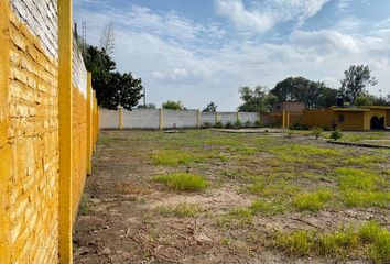 Lote de Terreno en  Zapote Del Valle, Jalisco, México