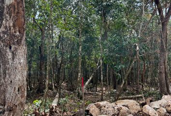 Lote de Terreno en  Green Dream Tulum, Carretera Tulum - Coba, Tulum, Quintana Roo, México